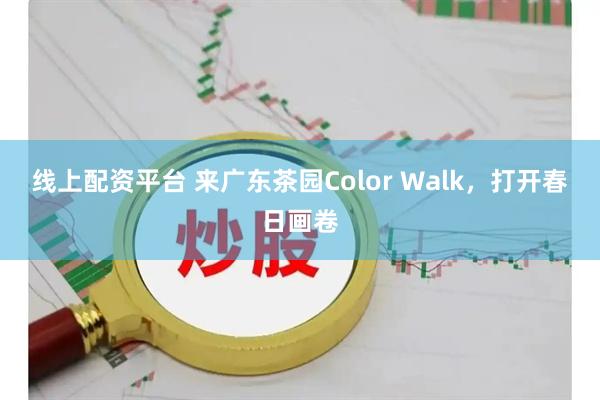 线上配资平台 来广东茶园Color Walk，打开春日画卷